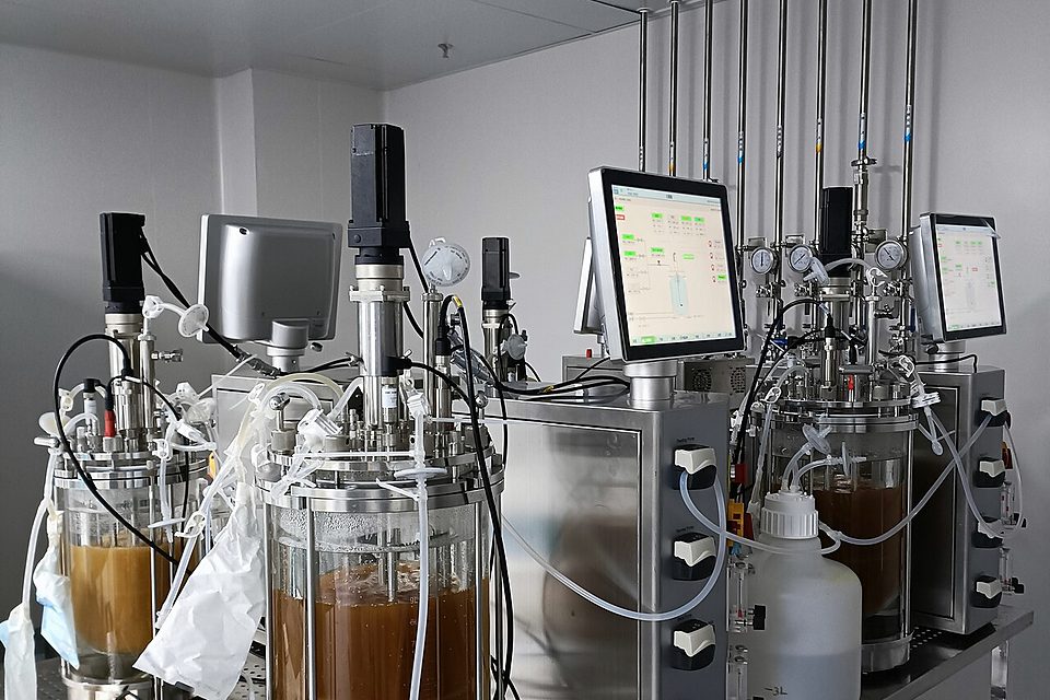 The process trial suite